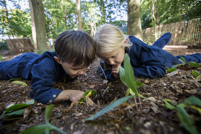 Akidemy-2Unsere Philosophie - Entdecken im Wald